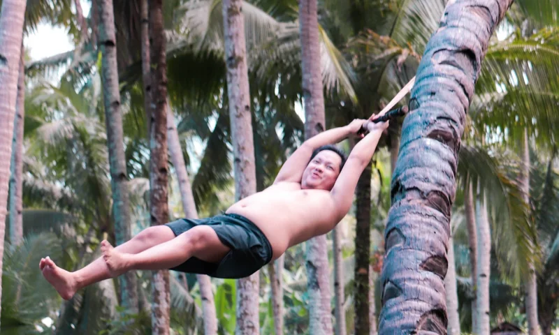 Portrait of Sef, Marketing Specialist at MajorMajor